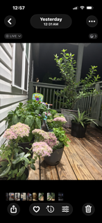 Procrastination is a seed of poverty